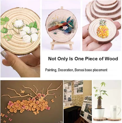 Natural Pine Wood Slices – Unfinished Round Discs with Tree Bark for DIY Crafts (3-16CM)