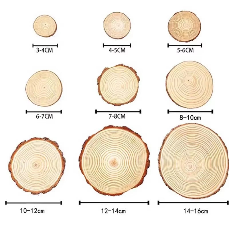 Natural Pine Wood Slices – Unfinished Round Discs with Tree Bark for DIY Crafts (3-16CM)